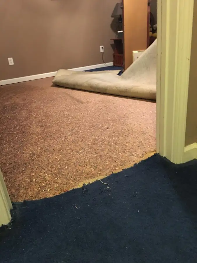 Carpet pad removal revealing water damage during Drying & Dehumidification in Emeryville